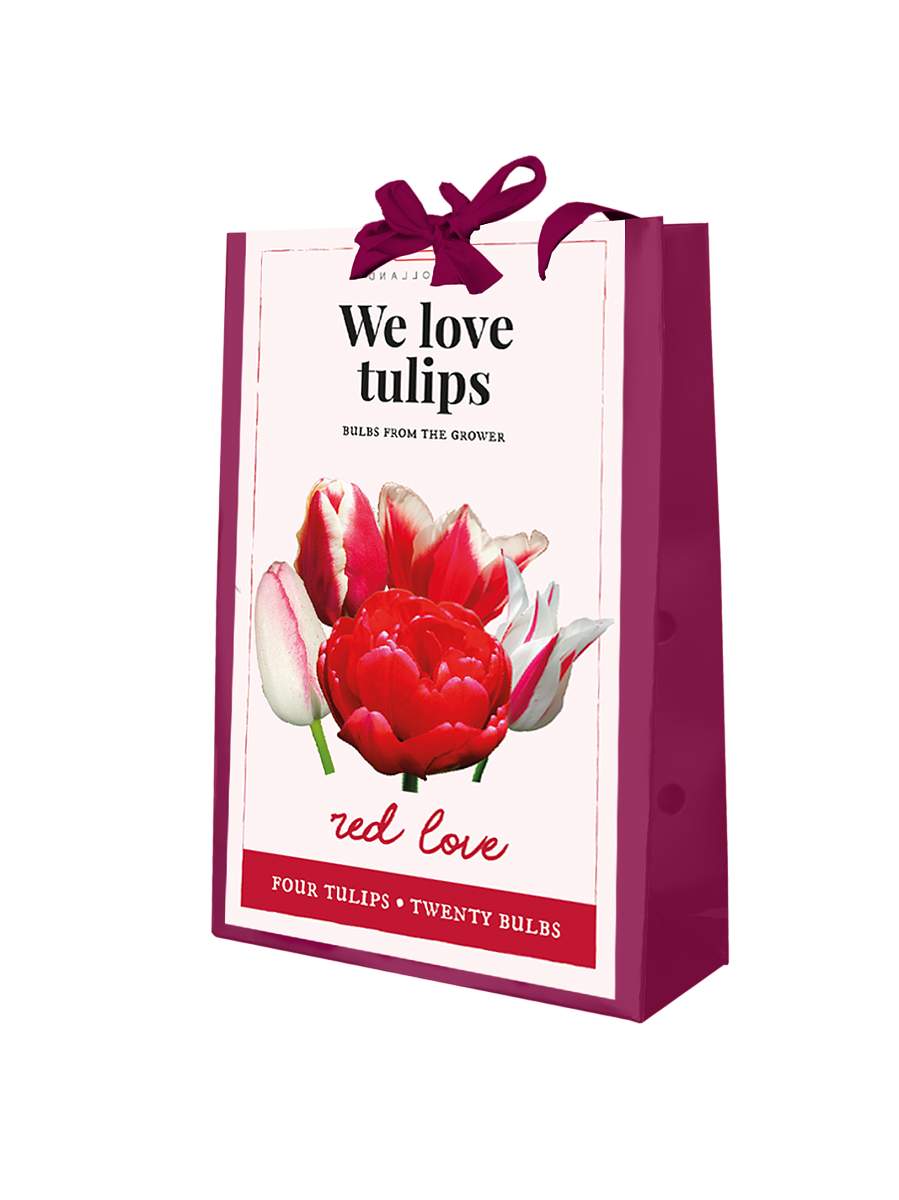TAŠKA 20 TULIPÁNY 'WE LOVE TULIPS'  RED LOVE 1 ks